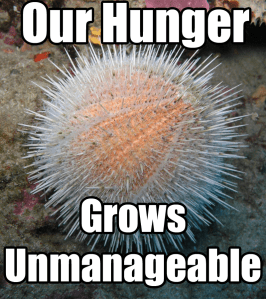 Unsatisfied Urchin