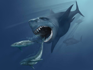 Megalodon