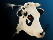 Moo satanic cow game