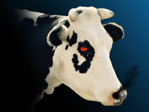 Moo satanic cow game